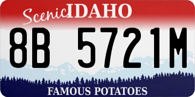 ID license plate 8B5721M