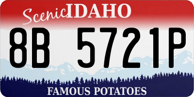 ID license plate 8B5721P