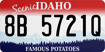 ID license plate 8B5721Q