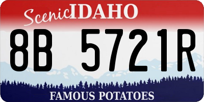 ID license plate 8B5721R