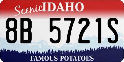 ID license plate 8B5721S