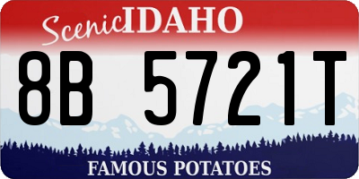 ID license plate 8B5721T