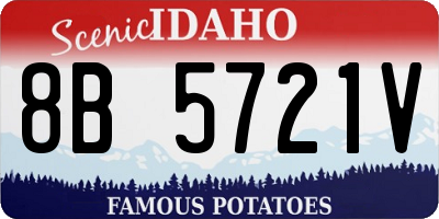 ID license plate 8B5721V