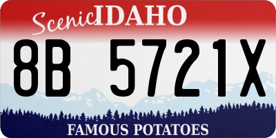 ID license plate 8B5721X