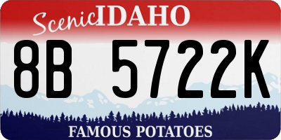 ID license plate 8B5722K