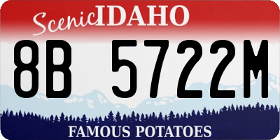 ID license plate 8B5722M