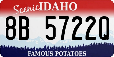 ID license plate 8B5722Q