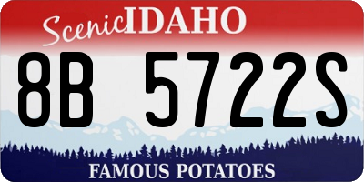 ID license plate 8B5722S