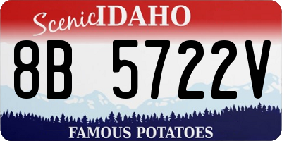 ID license plate 8B5722V