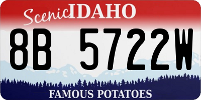ID license plate 8B5722W