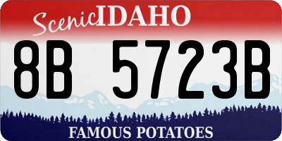ID license plate 8B5723B