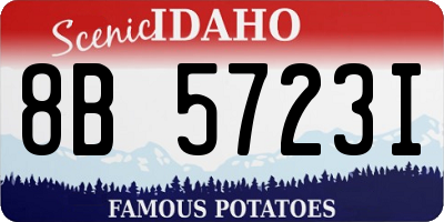 ID license plate 8B5723I