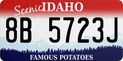 ID license plate 8B5723J