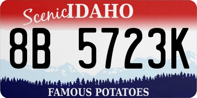ID license plate 8B5723K