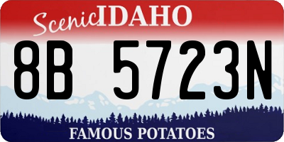 ID license plate 8B5723N