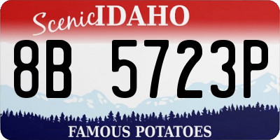 ID license plate 8B5723P