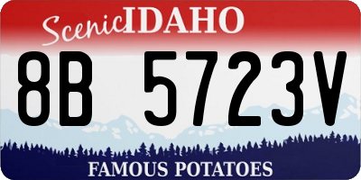 ID license plate 8B5723V