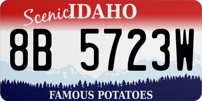 ID license plate 8B5723W
