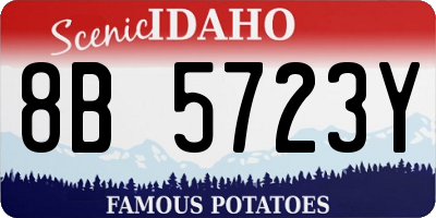 ID license plate 8B5723Y