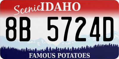 ID license plate 8B5724D