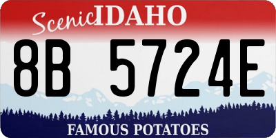 ID license plate 8B5724E