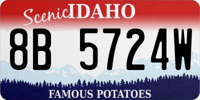 ID license plate 8B5724W