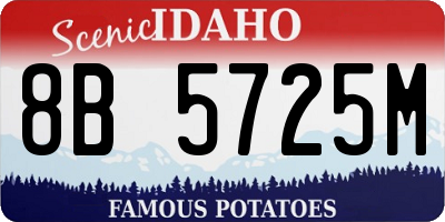 ID license plate 8B5725M