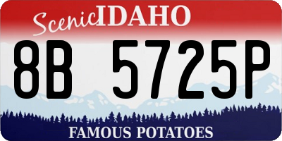 ID license plate 8B5725P
