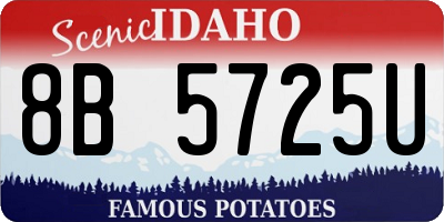 ID license plate 8B5725U
