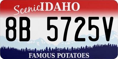 ID license plate 8B5725V