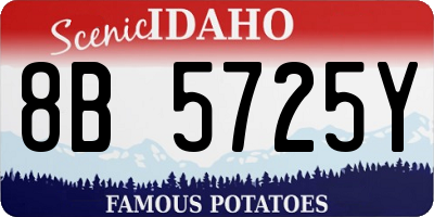 ID license plate 8B5725Y