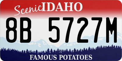ID license plate 8B5727M