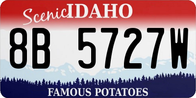 ID license plate 8B5727W