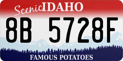ID license plate 8B5728F