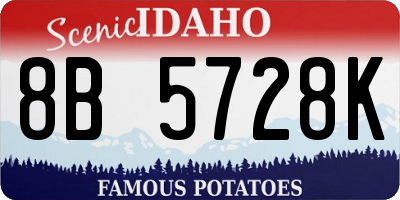 ID license plate 8B5728K