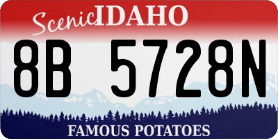 ID license plate 8B5728N
