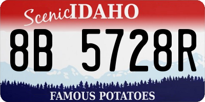 ID license plate 8B5728R