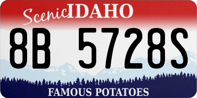 ID license plate 8B5728S