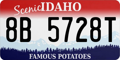 ID license plate 8B5728T