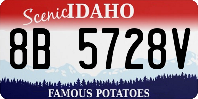 ID license plate 8B5728V