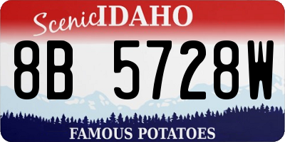 ID license plate 8B5728W