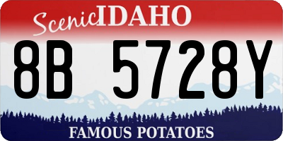 ID license plate 8B5728Y