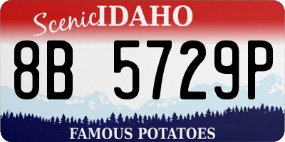ID license plate 8B5729P