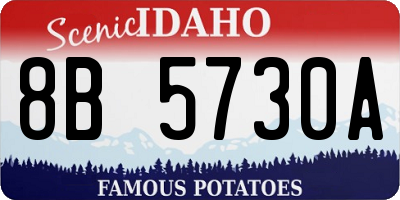 ID license plate 8B5730A