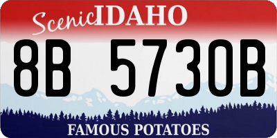 ID license plate 8B5730B