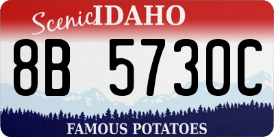 ID license plate 8B5730C