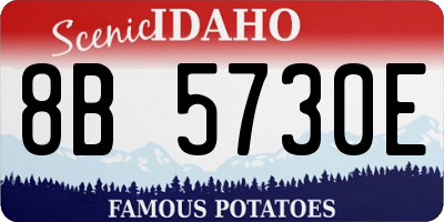 ID license plate 8B5730E