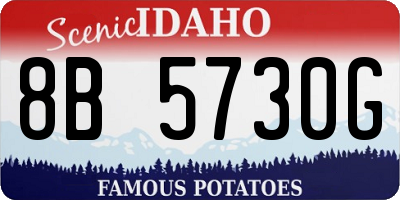 ID license plate 8B5730G