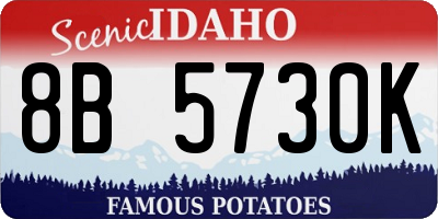 ID license plate 8B5730K