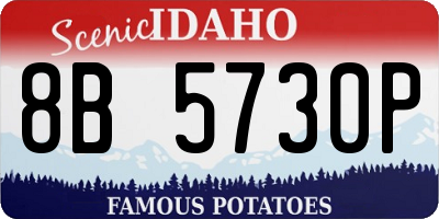 ID license plate 8B5730P
